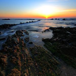 女性裸体啪啪网站
