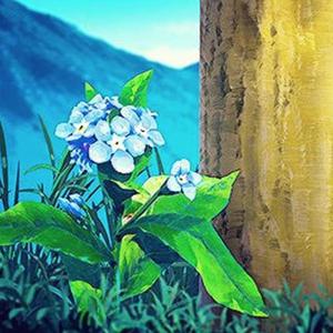 女性裸体啪啪网站
