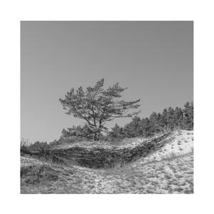 女性裸体啪啪网站
