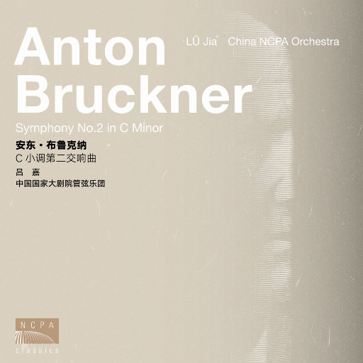 女性裸体啪啪网站
